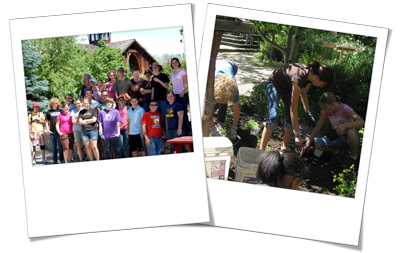 Volunteens Pictures
