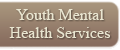 Youth Mental Health Services