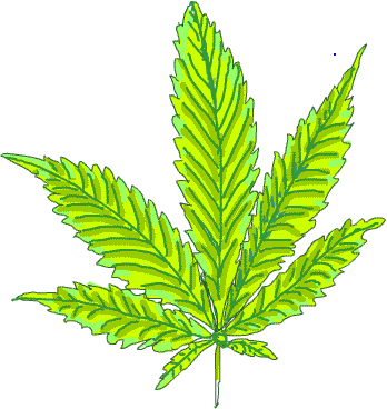 Marijuana Image